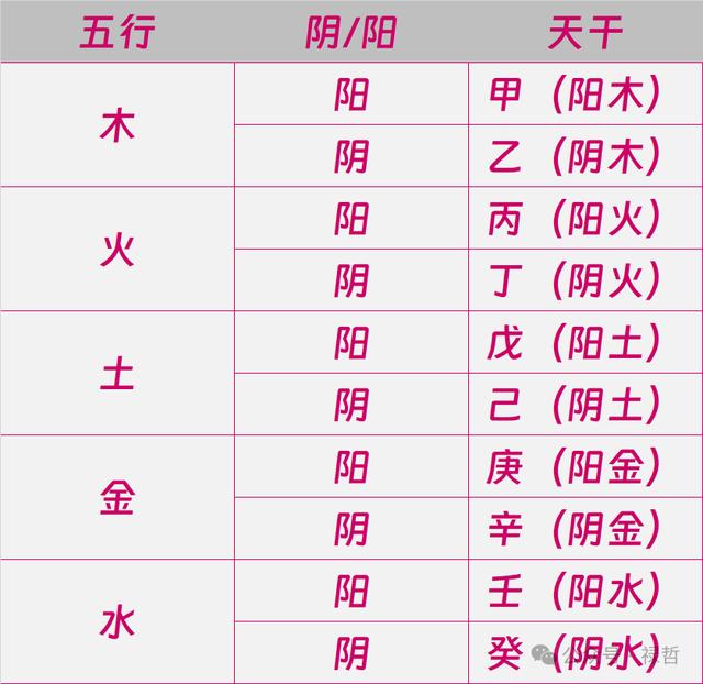 十二地支五行属性