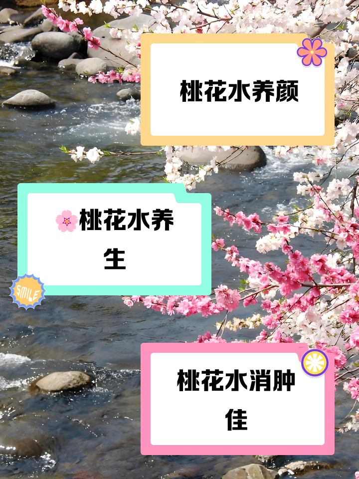 admin 第174页