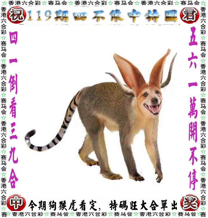 小鱼儿资料澳门版
