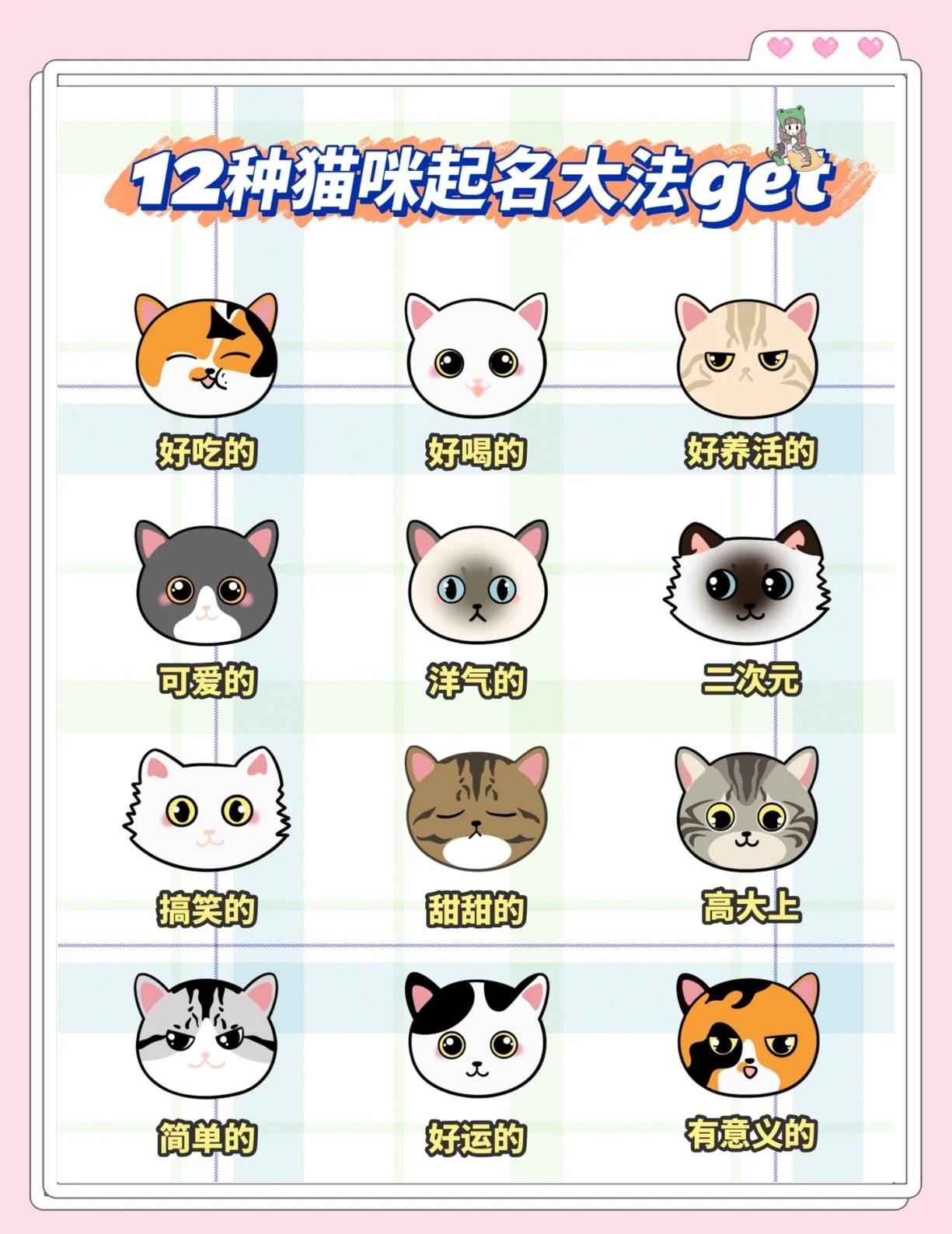 猫咪名字可爱洋气