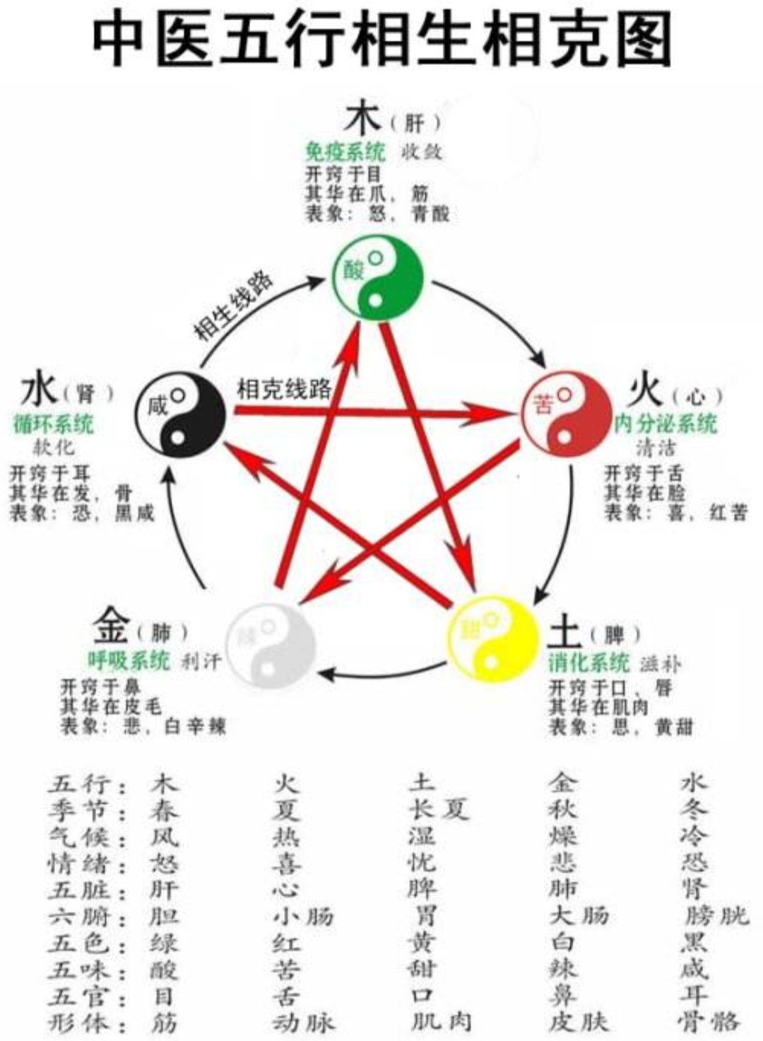 科普展现:五脏五行（五脏五行顺口溜）