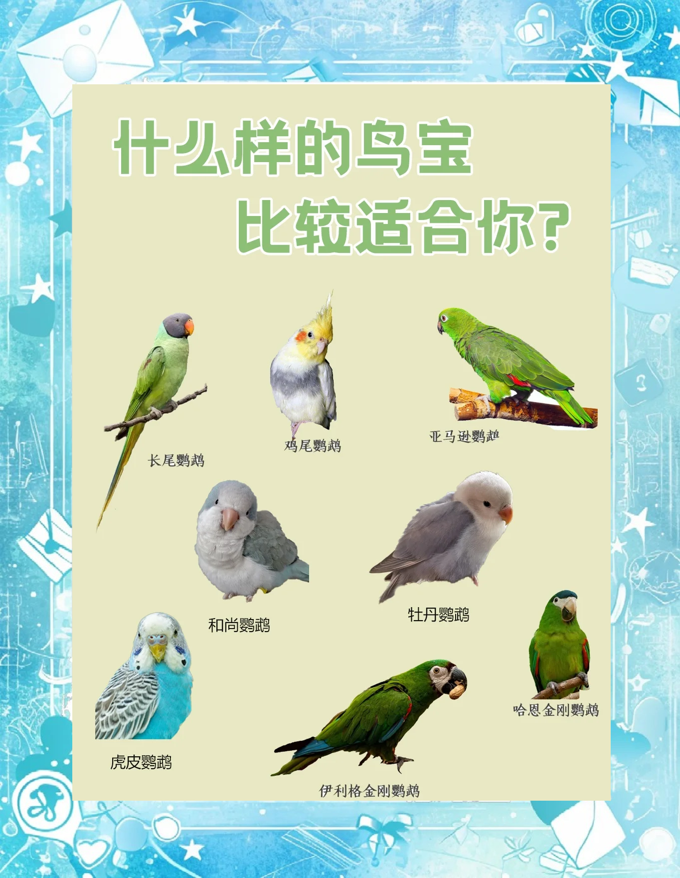 科普展现:鹦鹉名字（鹦鹉名字大全一对好听）
