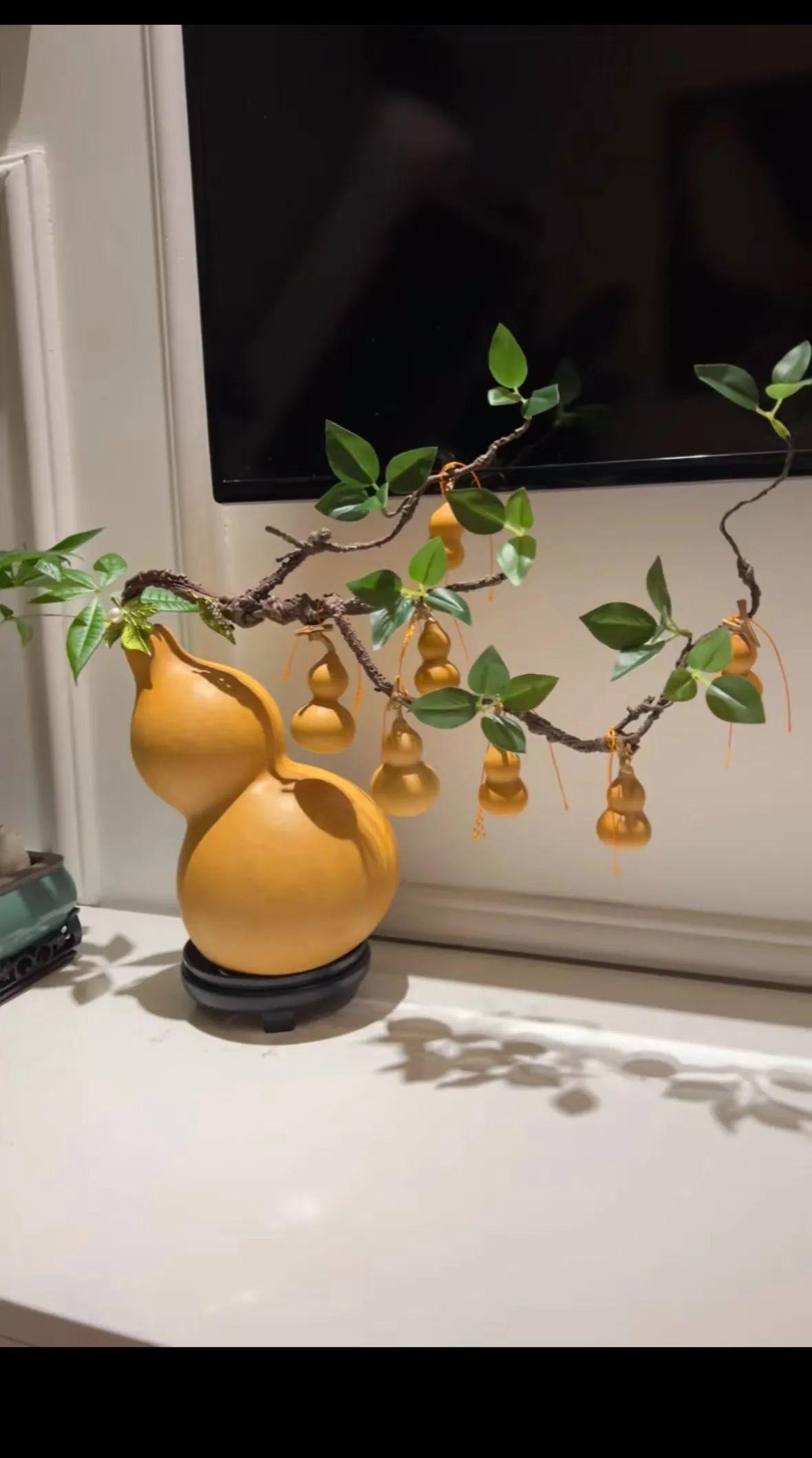 科普展现:辟邪植物有哪些（辟邪植物有什么）
