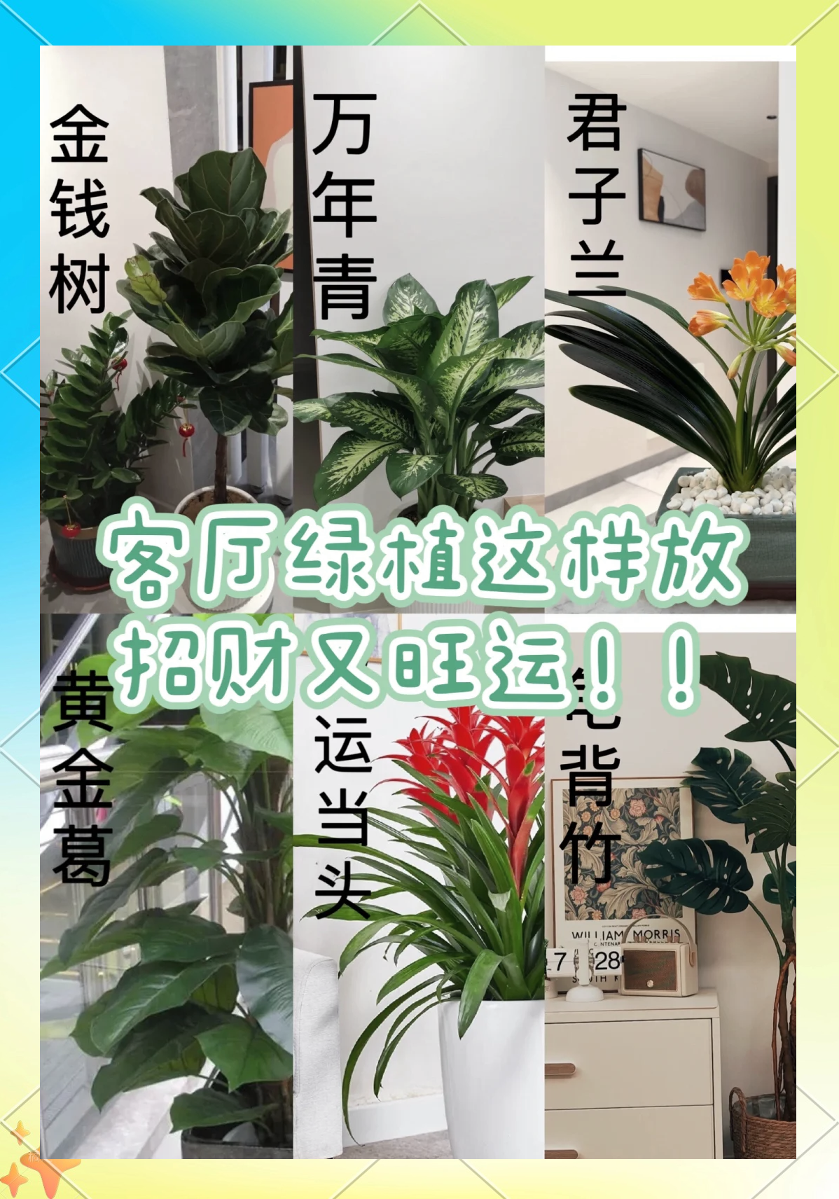 客厅地板选择风水