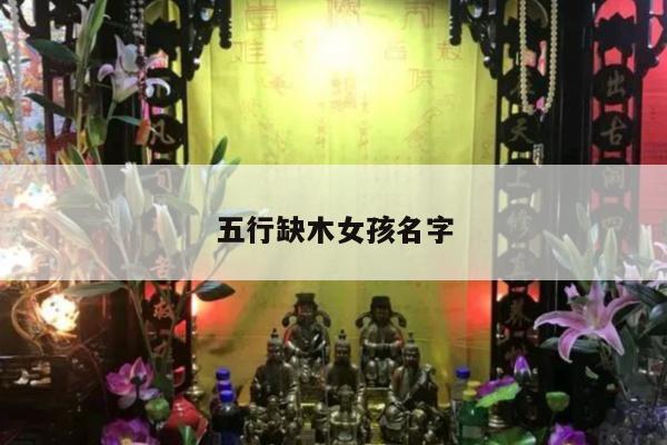 五行缺木女孩名字