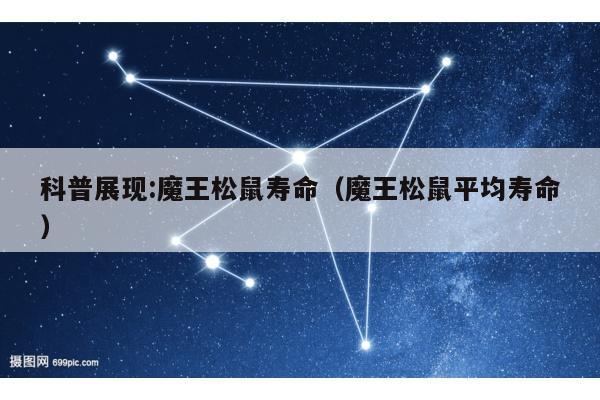 科普展现:魔王松鼠寿命（魔王松鼠平均寿命）