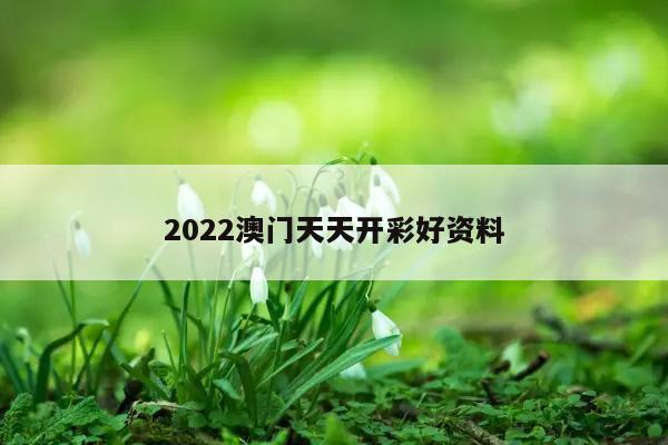 2022澳门天天开彩好资料