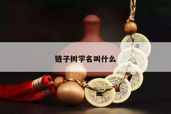 链子树学名叫什么