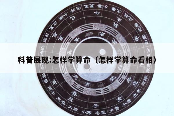 新闻中心 第28页