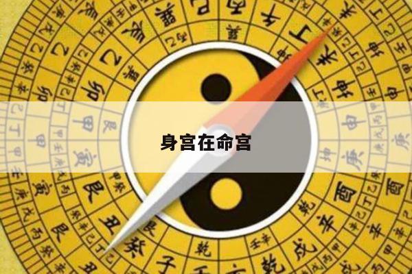 身宫在命宫