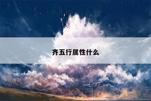 齐五行属性什么