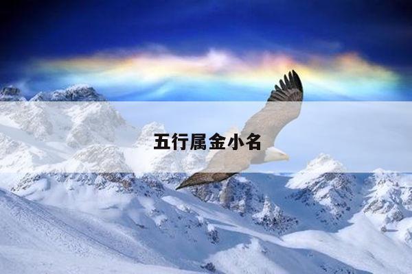 五行属金小名