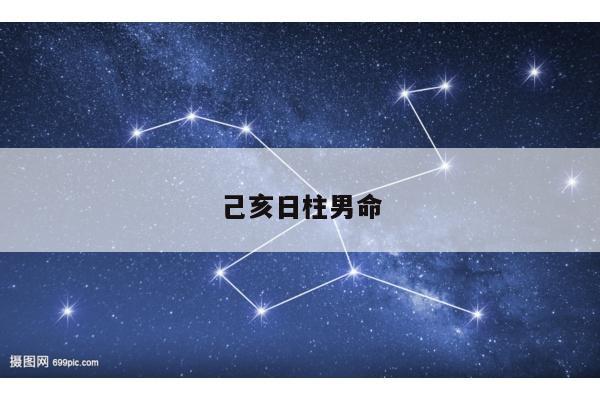 己亥日柱男命