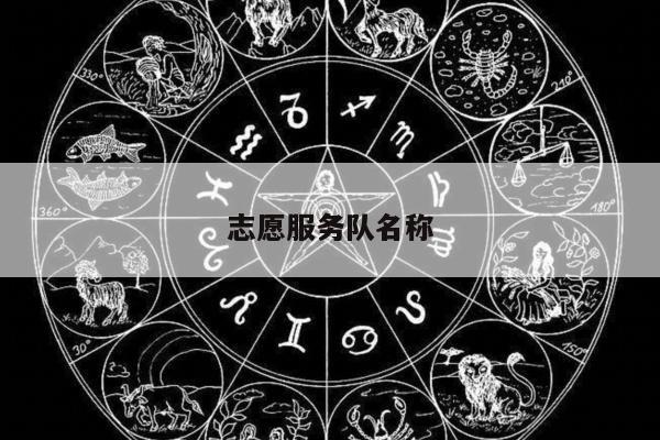 志愿服务队名称