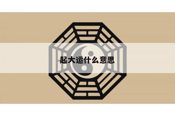起大运什么意思