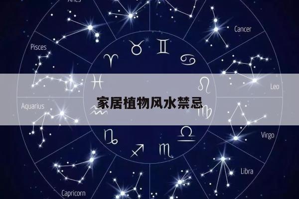 家居植物风水禁忌