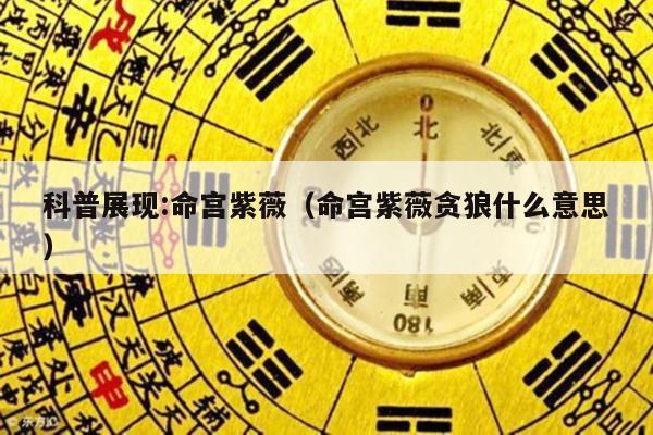 科普展现:命宫紫薇（命宫紫薇贪狼什么意思）