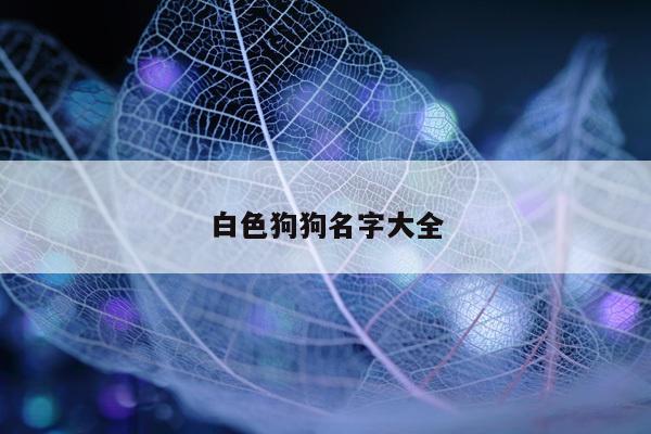 白色狗狗名字大全