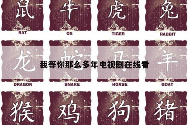 我等你那么多年电视剧在线看