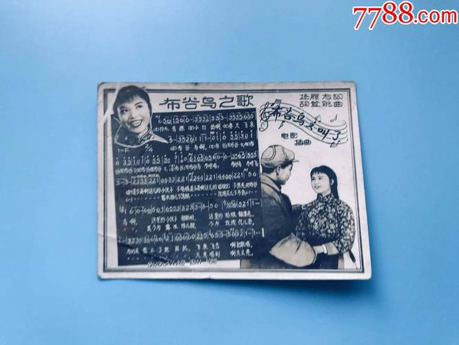 布谷鸟电影网,布谷鸟电影网官网入口