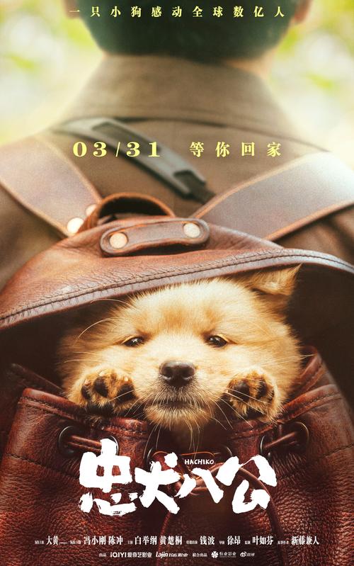 忠犬八公的故事,忠犬八公的故事电影免费观看完整版