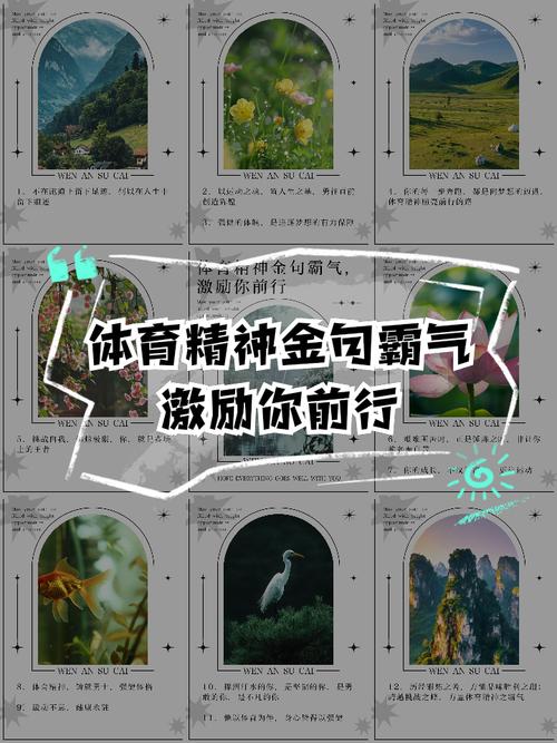 体育比赛精神,体育比赛精神的金句有哪些