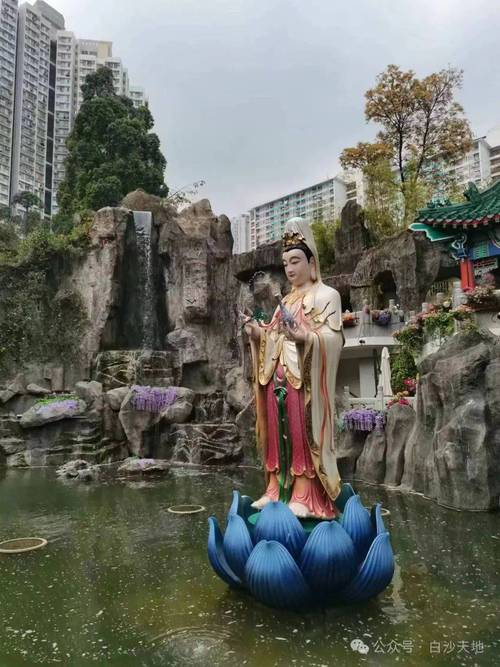 香港黄大仙公司资料,香港黄大仙内部资料