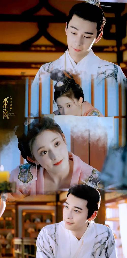 东宫电视剧免费观看星辰影院,东宫电视剧免费观看全集星辰