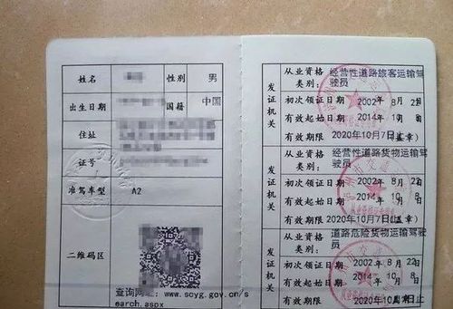 全国道路运输人员资格证,全国道路运输人员资格证查询